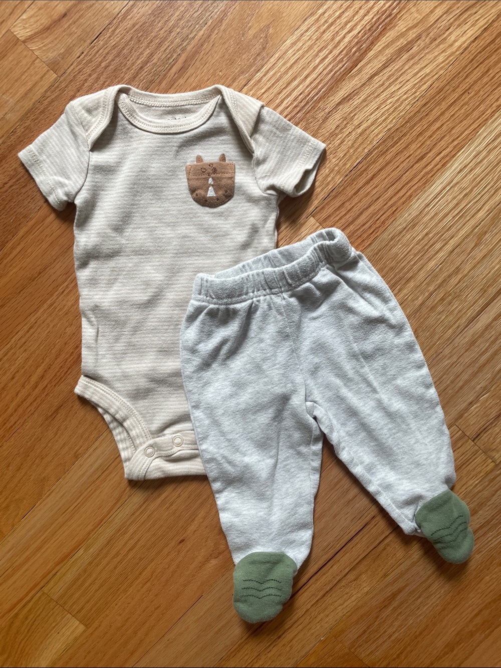 Matching Dinosaur Set